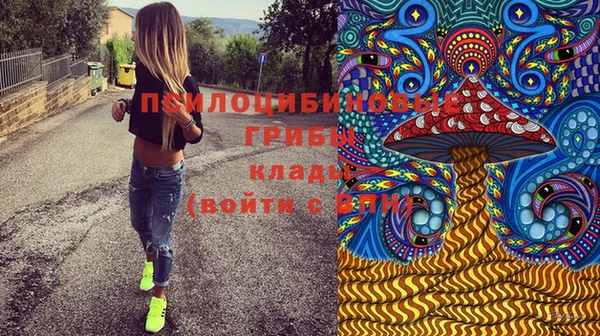 бошки Майский
