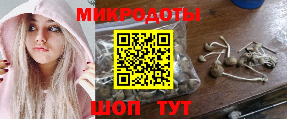 Обь  закладка  Псилоцибиновые грибы мицелий  Вход с VPN  Галлюциногенные грибы Cubensis 
